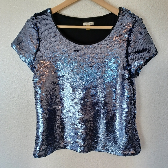 Anthropologie Leifsdottir sequin top (S) - Picture 2 of 7